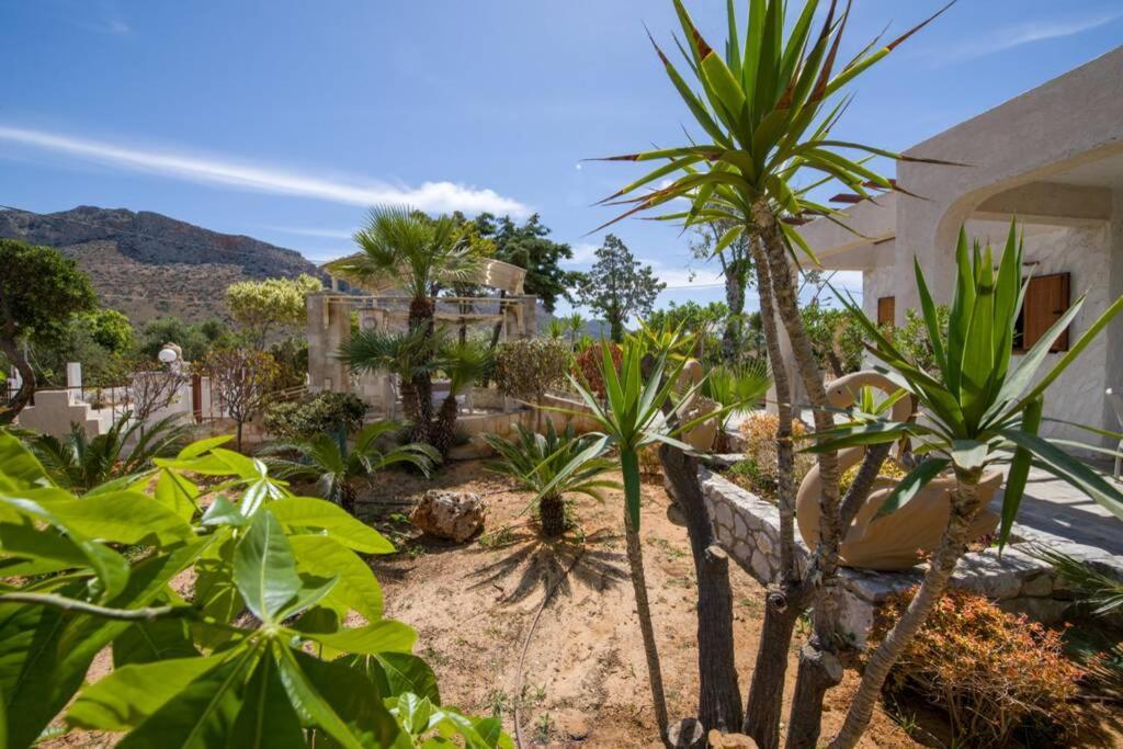 Renas Secret Garden House Villa Chania  Exteriör bild