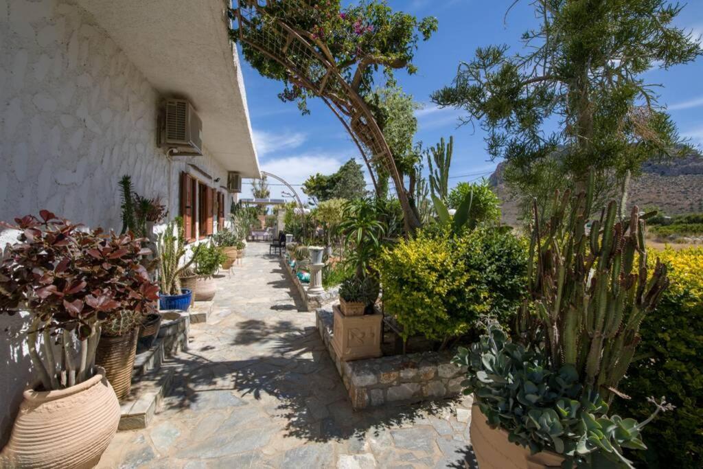 Renas Secret Garden House Villa Chania  Exteriör bild
