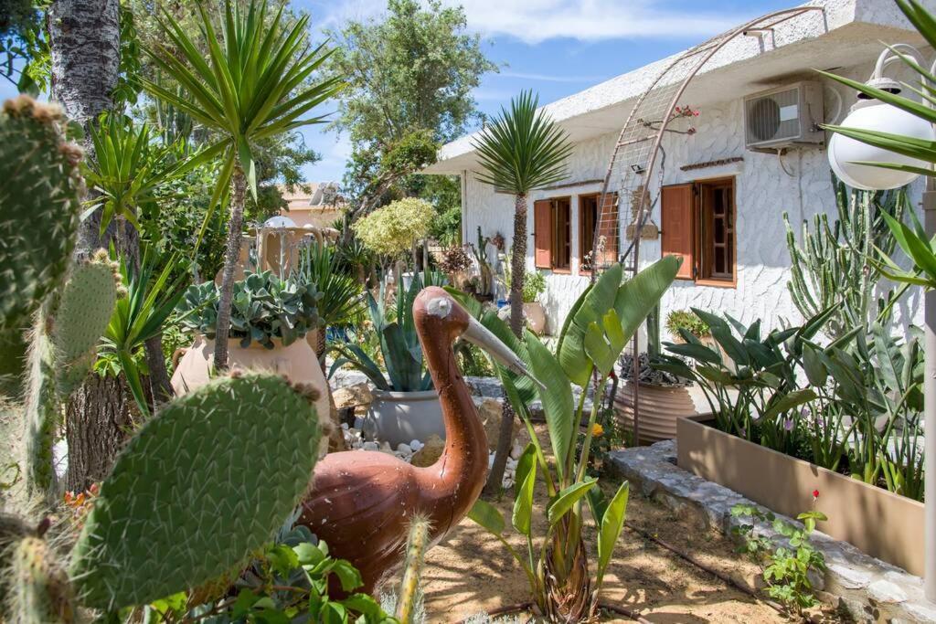 Renas Secret Garden House Villa Chania  Exteriör bild